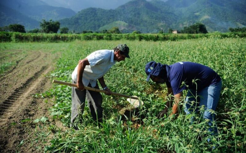 Lula destina R$ 909 milhões para impulsionar reforma agrária e fortalecer a agricultura familiar