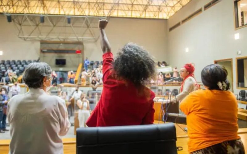 Democracia brasileira: a ausência feminina no poder revela lacunas importantes