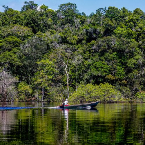 Amazônia abriga quase metade dos processos relacionados a minerais essenciais e estratégicos