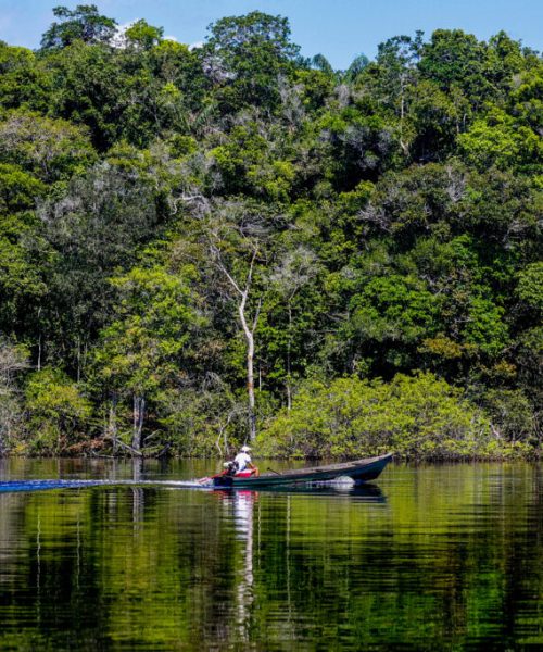 Amazônia abriga quase metade dos processos relacionados a minerais essenciais e estratégicos