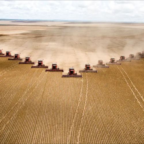 Brasil avança no agronegócio e ultrapassa EUA em setores estratégicos devido a falhas de Trump