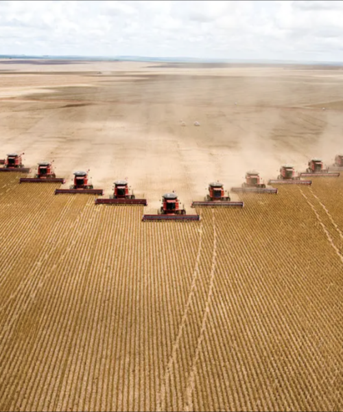 Brasil avança no agronegócio e ultrapassa EUA em setores estratégicos devido a falhas de Trump